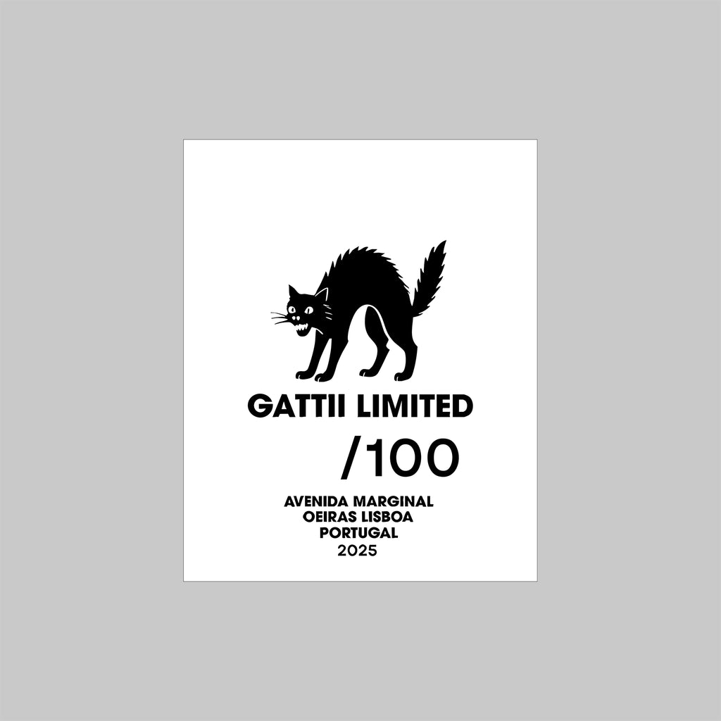 EMROIDERED JOGGERS 2